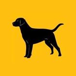 Black Lab Digital, LLC