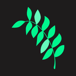 Branchleaf Digital